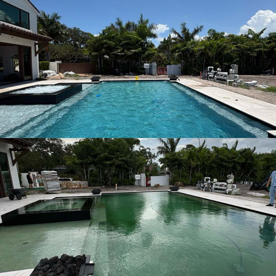 Before and after pool cleanup in St. Petersburg FL, green algae water restored to clear blue