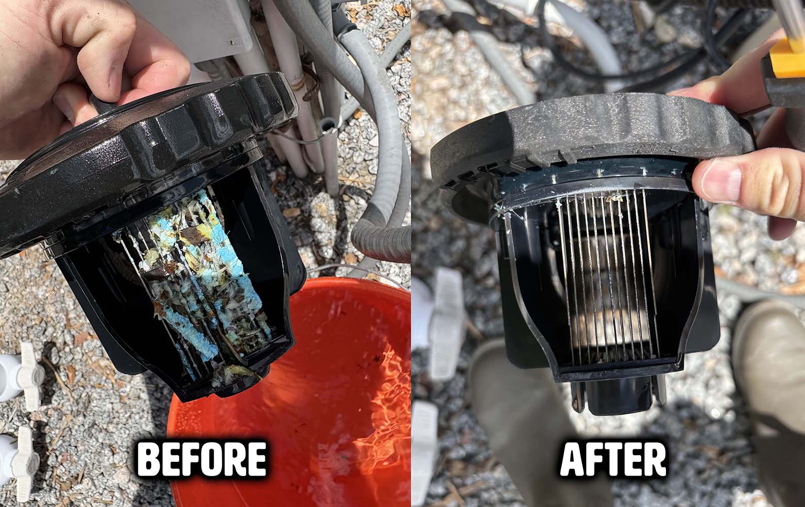 Salt cell cleaning before and after during a pool service visit in St. Petersburg FL